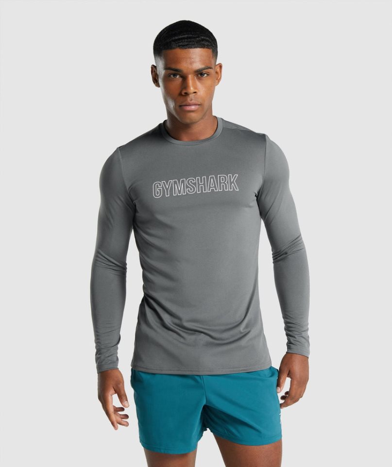 Koszulki Gymshark Arrival Long Sleeve Grafiką Męskie Szare | PL 251ADW